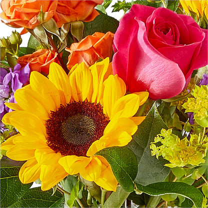Vibrant Greetings Bouquet –  Joyce Florist Of Dallas Inc, Dallas TX
