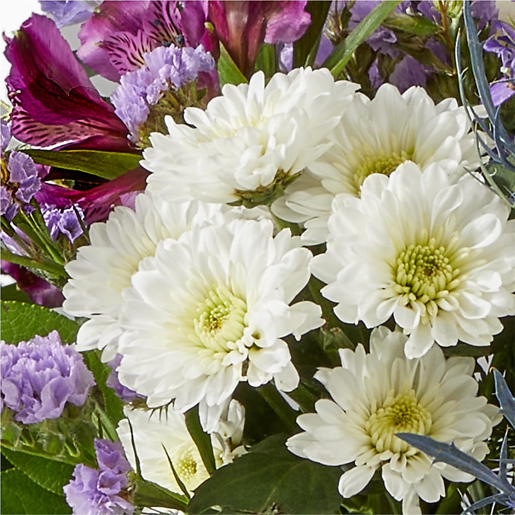 Shooting Star Bouquet –  Joyce Florist Of Dallas Inc, Dallas TX