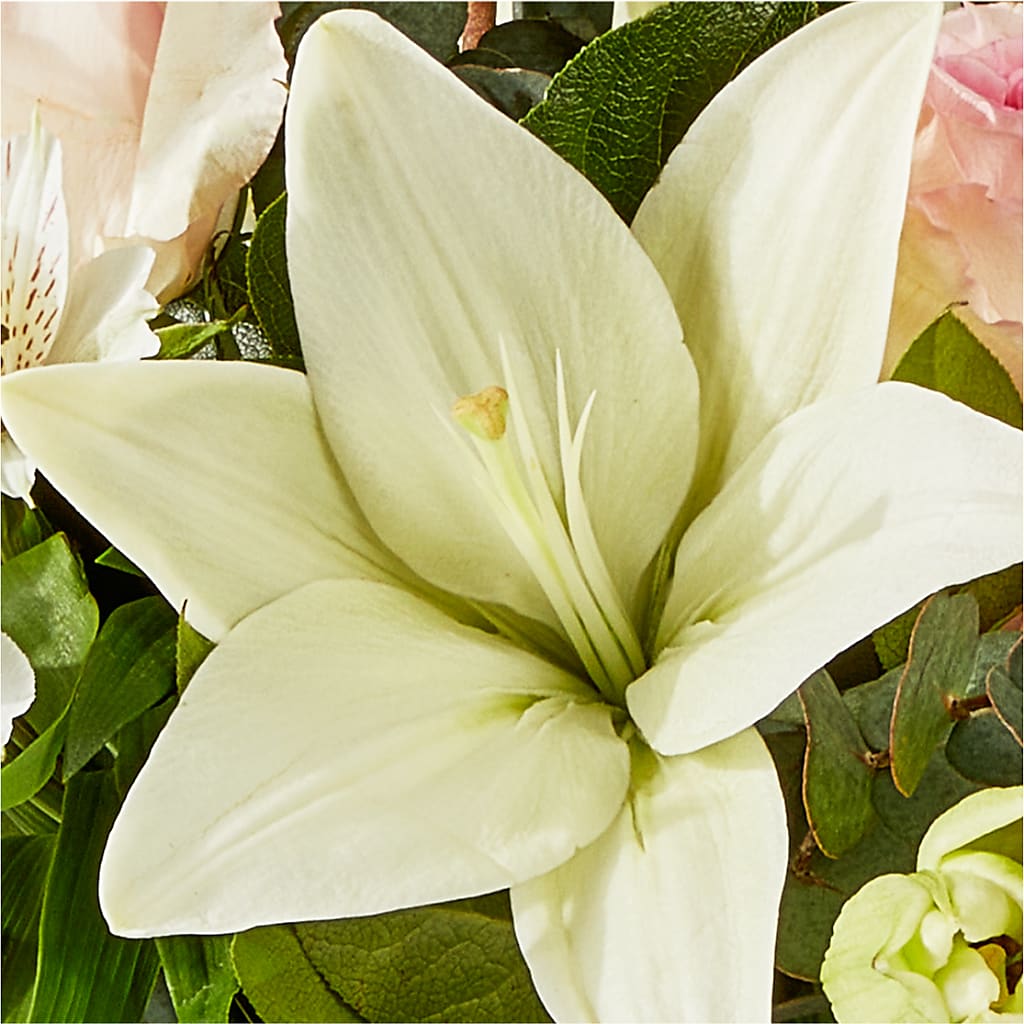 Ballet Slippers Bouquet –  Joyce Florist Of Dallas Inc, Dallas TX