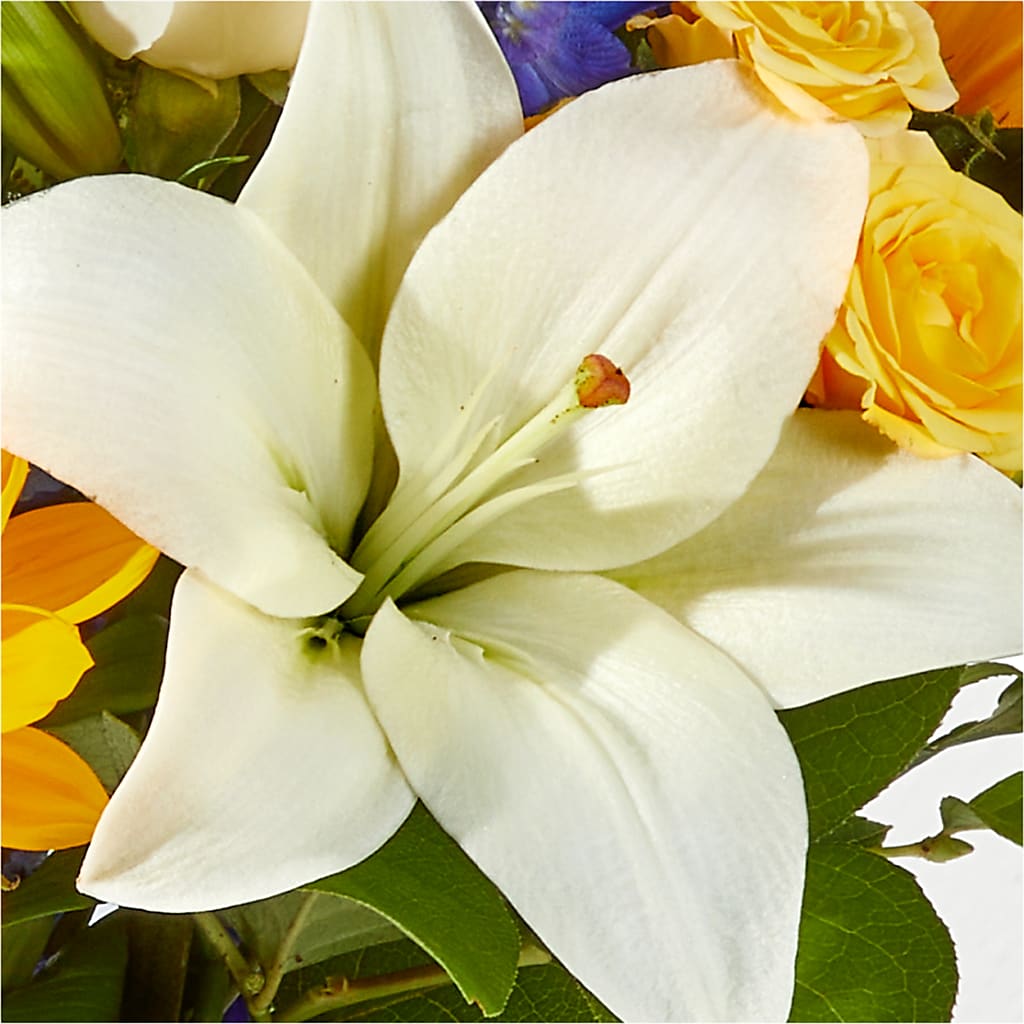 Wonderfully Sunny Bouquet –  Joyce Florist Of Dallas Inc, Dallas TX