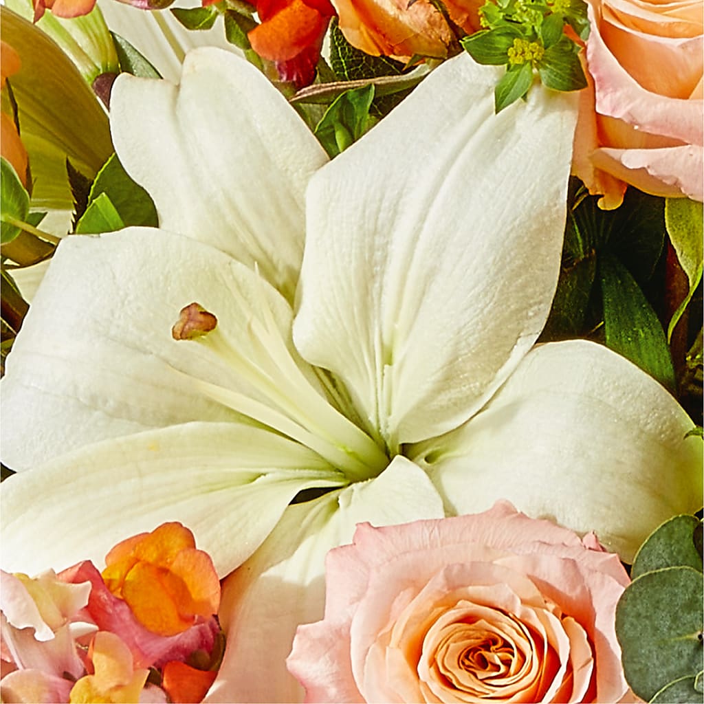 Grapefruit Splash Bouquet –  Joyce Florist Of Dallas Inc, Dallas TX