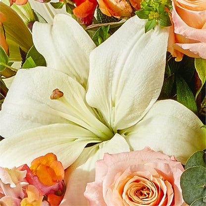 Grapefruit Splash Bouquet –  Joyce Florist Of Dallas Inc, Dallas TX