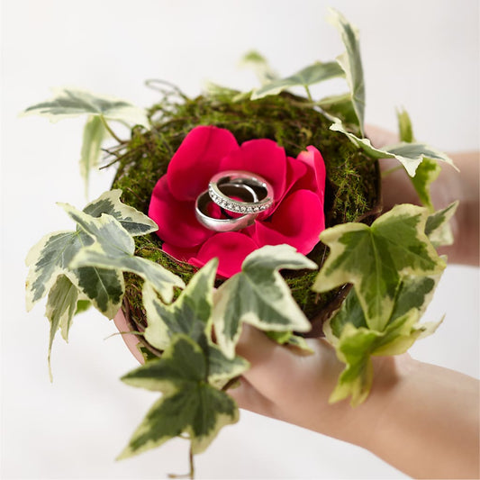 Lila Rose Ring Nest –  Joyce Florist Of Dallas Inc, Dallas TX