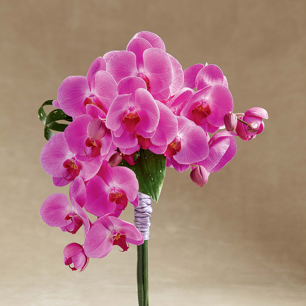 Glorious Bouquet –  Joyce Florist Of Dallas Inc, Dallas TX