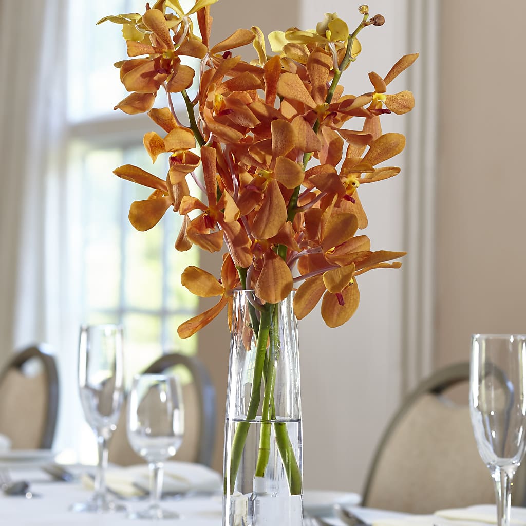 Orange Mokara Bud Vase –  Joyce Florist Of Dallas Inc, Dallas TX