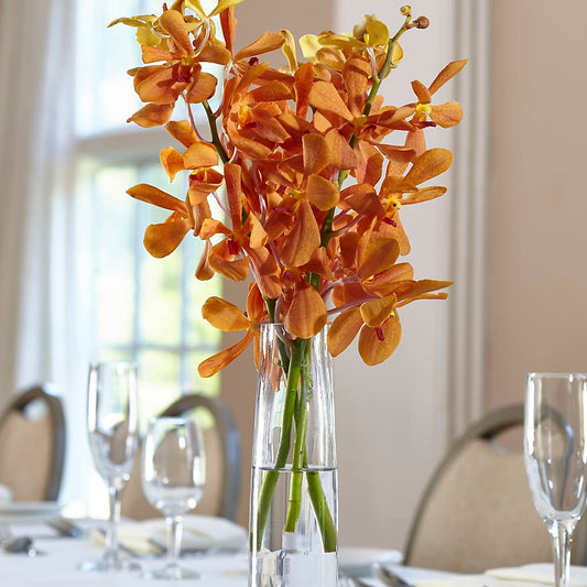 Orange Mokara Bud Vase –  Joyce Florist Of Dallas Inc, Dallas TX