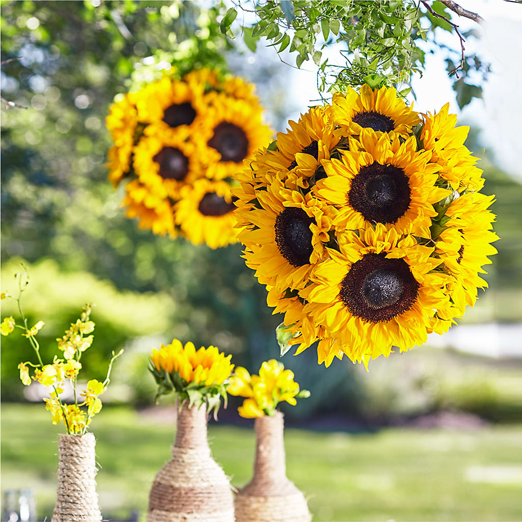 Sublime Garden Hanging Arrangement –  Joyce Florist Of Dallas Inc, Dallas TX