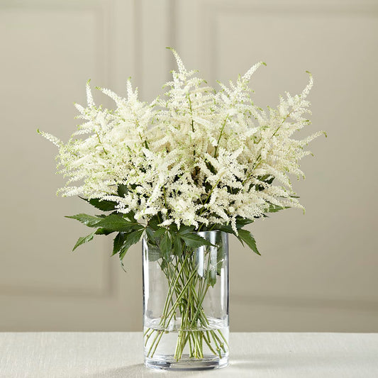White Astilbe Bouquet –  Joyce Florist Of Dallas Inc, Dallas TX