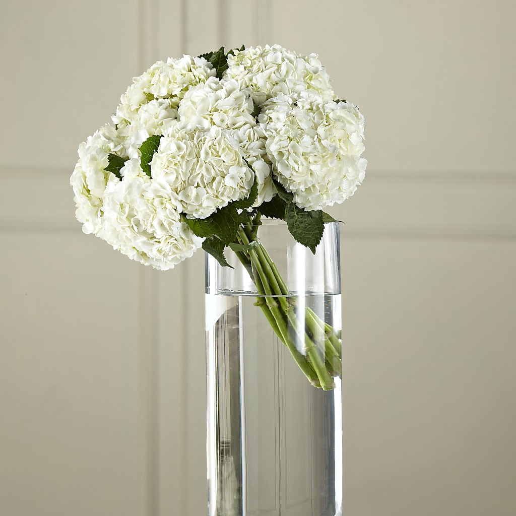 White Hydrangea Hand-Tied Bouquet –  Joyce Florist Of Dallas Inc, Dallas TX