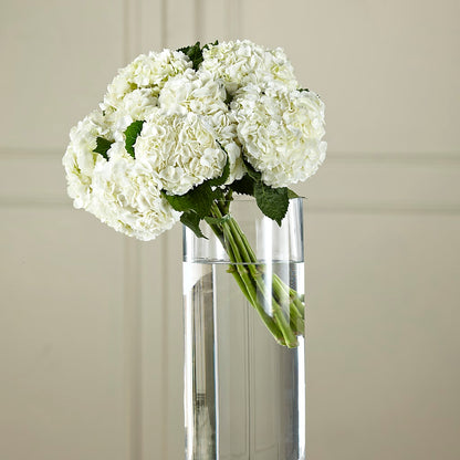 White Hydrangea Hand-Tied Bouquet –  Joyce Florist Of Dallas Inc, Dallas TX