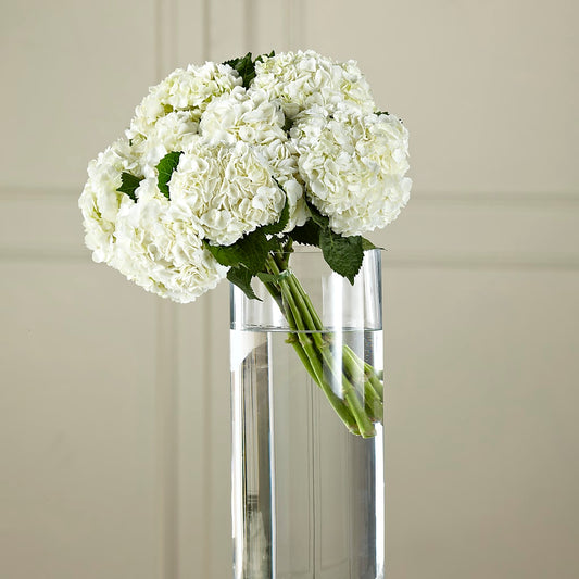 White Hydrangea Hand-Tied Bouquet –  Joyce Florist Of Dallas Inc, Dallas TX