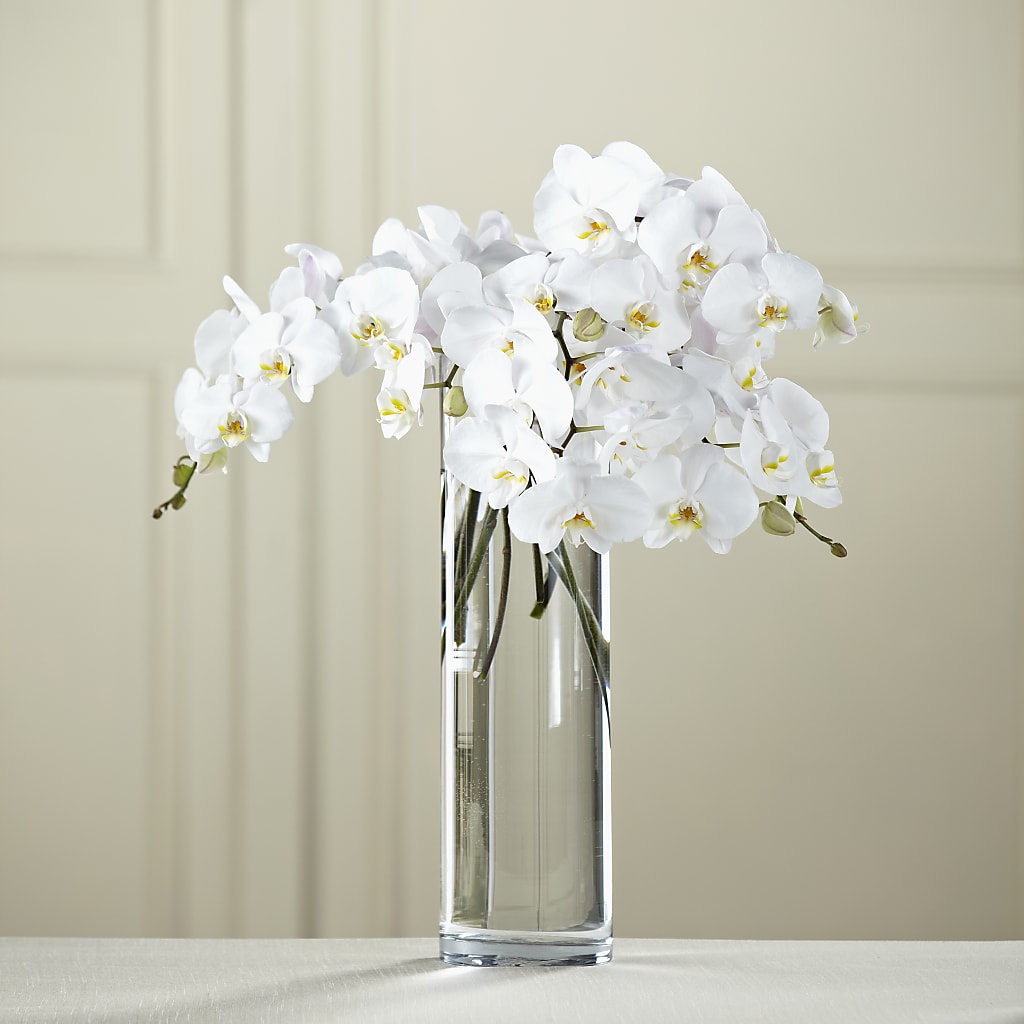 White Phalaenopsis Bouquet –  Joyce Florist Of Dallas Inc, Dallas TX