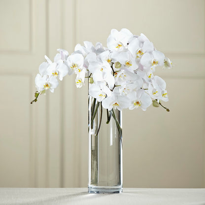 White Phalaenopsis Bouquet –  Joyce Florist Of Dallas Inc, Dallas TX