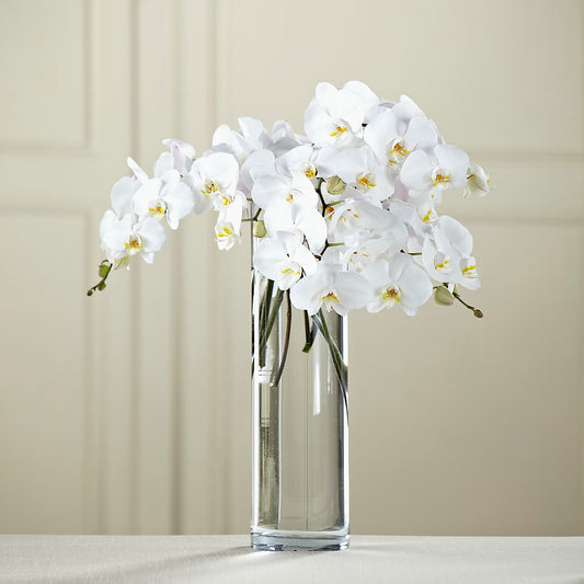 White Phalaenopsis Bouquet –  Joyce Florist Of Dallas Inc, Dallas TX