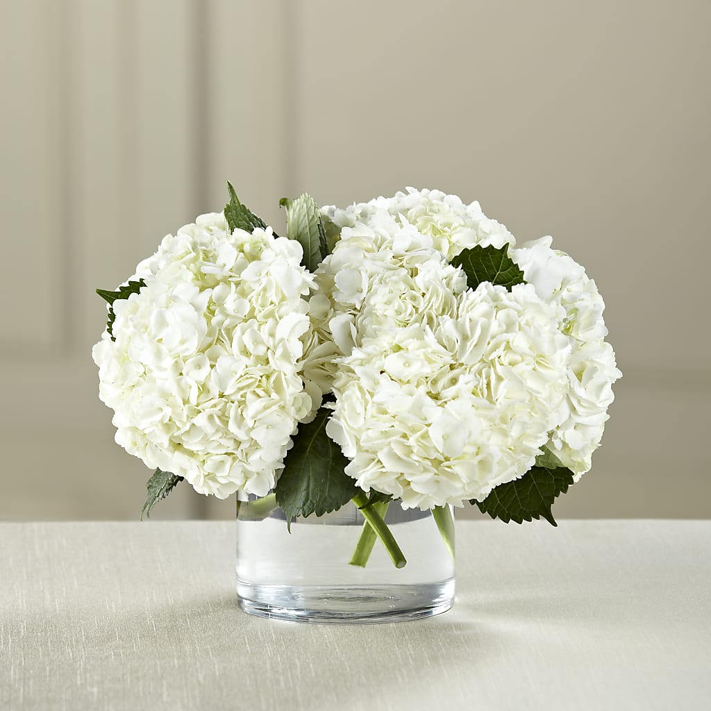 White Hydrangea Bouquet –  Joyce Florist Of Dallas Inc, Dallas TX