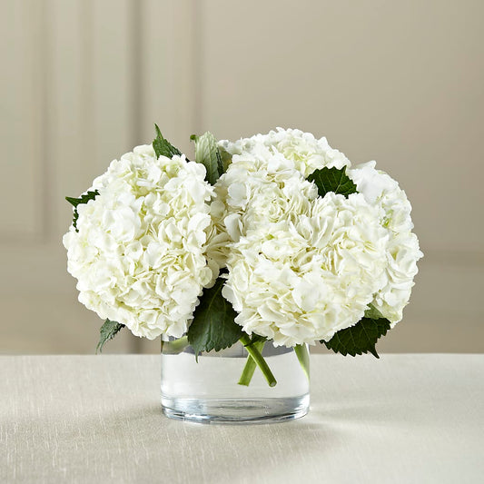 White Hydrangea Bouquet –  Joyce Florist Of Dallas Inc, Dallas TX