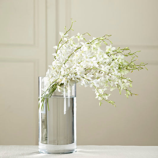White Dendrobium Bouquet –  Joyce Florist Of Dallas Inc, Dallas TX